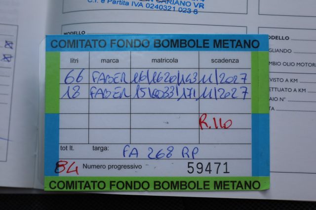FIAT 500L usata 117