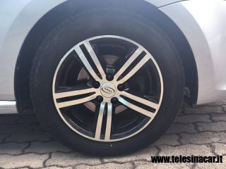 VOLKSWAGEN Polo usata 14