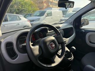 FIAT Panda usata, con Servosterzo
