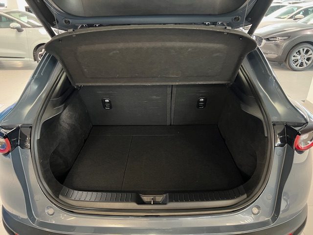 MAZDA CX-30 usata, con Servosterzo