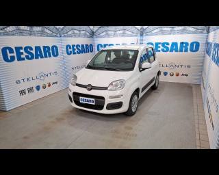FIAT New Panda usata, con Airbag laterali
