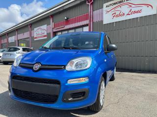 FIAT Panda usata, con Airbag Passeggero