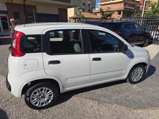 FIAT Panda usata, con ESP