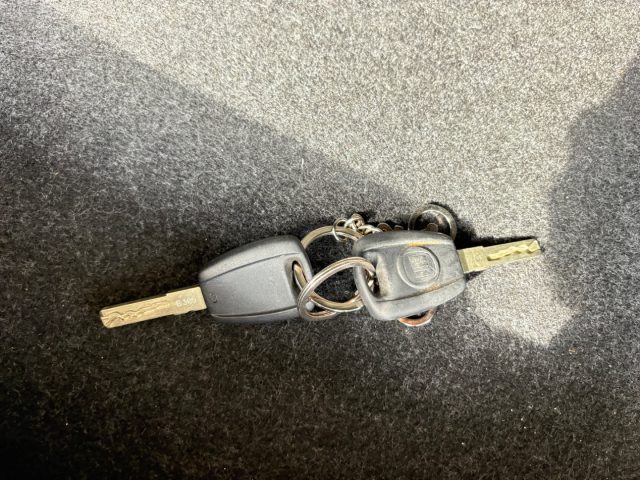 FIAT Panda usata, con Cerchioni in acciaio