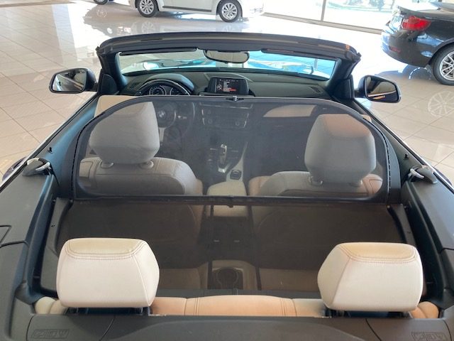 BMW 220 usata, con Fendinebbia