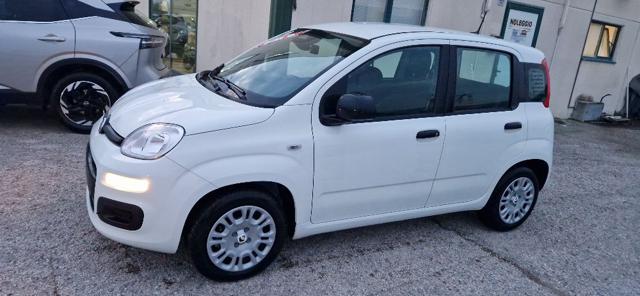 FIAT Panda usata, con Park Distance Control