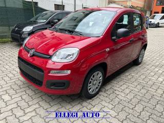 FIAT Panda usata, con Chiusura centralizzata