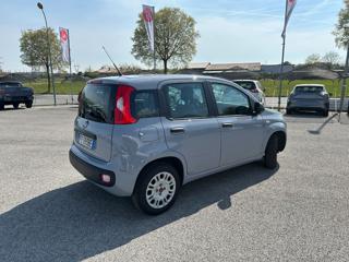 FIAT Panda usata, con Airbag Passeggero