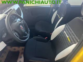 FIAT Panda Cross usata, con Controllo automatico clima
