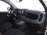 FIAT Panda usata 11