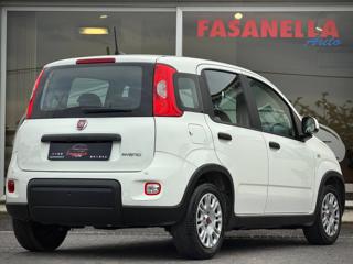 FIAT Panda usata, con USB