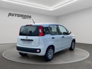 FIAT Panda usata, con Autoradio