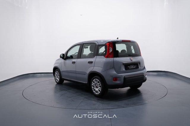 FIAT New Panda usata, con ESP