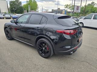 ALFA ROMEO Stelvio usata, con Airbag Passeggero