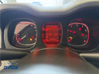 FIAT Panda usata 22