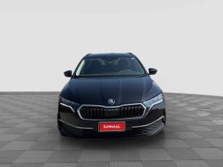 SKODA Octavia usata 7