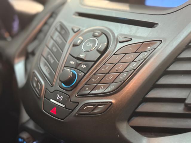 FORD EcoSport usata, con Bracciolo