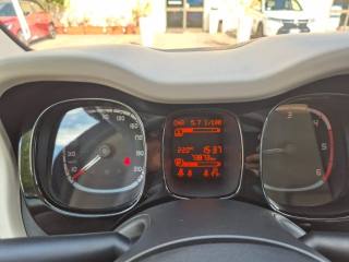 FIAT Panda usata, con Fendinebbia