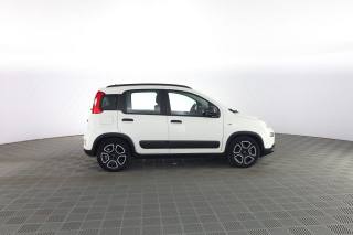 FIAT Panda usata 2
