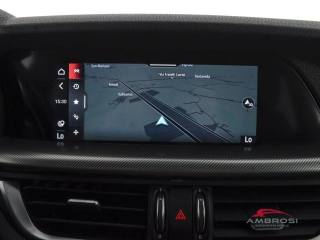 ALFA ROMEO Stelvio usata 14