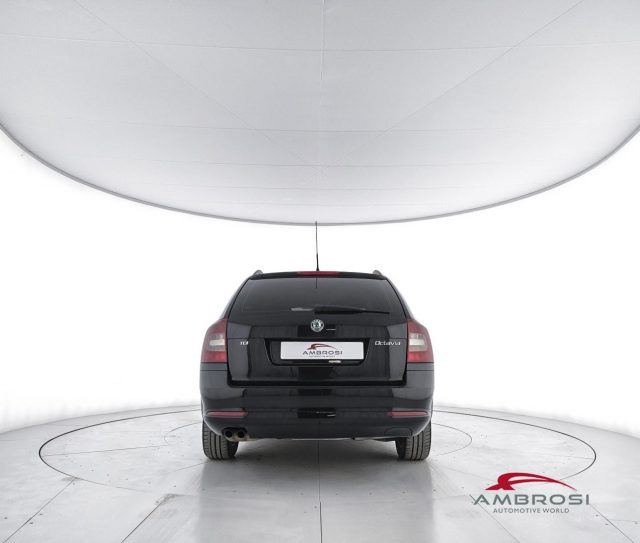 SKODA Octavia usata 5