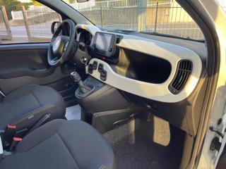 FIAT Panda usata, con Cruise Control