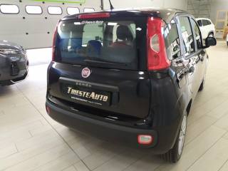 FIAT Panda usata, con Alzacristalli elettrici