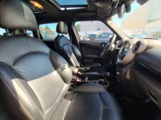MINI Countryman usata, con Controllo automatico clima