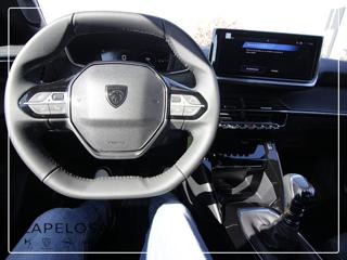 PEUGEOT 2008 usata 18