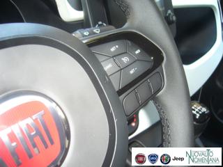 FIAT Panda Cross usata, con Vetri oscurati