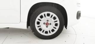 FIAT Panda usata 15