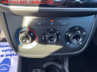 FIAT Punto usata 15