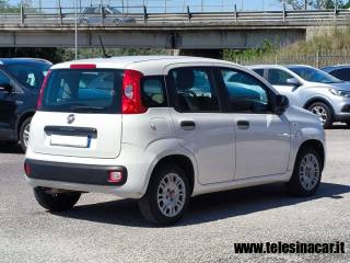 FIAT Panda usata, con Climatizzatore