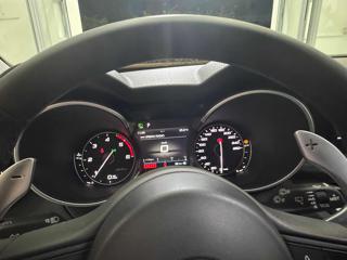 ALFA ROMEO Stelvio usata, con Fendinebbia