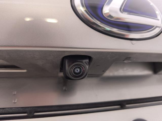 LEXUS NX 300h usata, con Luci diurne LED