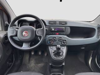 FIAT Panda usata 8