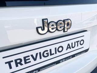 JEEP Renegade usata, con Fari direzionali