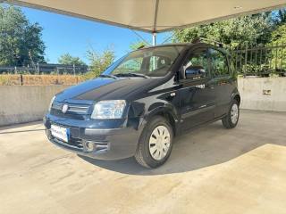 FIAT Panda 1.2 Dynamic OK NEOPATENTATI PRONTA CONSEGNA