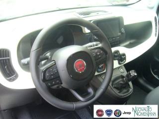 FIAT Panda Cross usata, con Volante in pelle