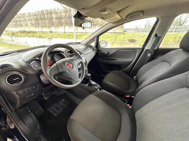 FIAT Punto usata 38