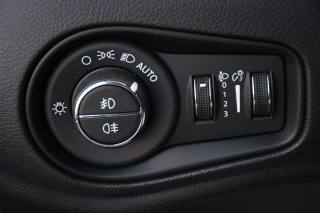 JEEP Renegade usata, con Vetri oscurati