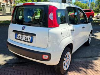 FIAT Panda usata, con Autoradio