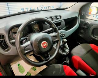 FIAT Panda usata, con Chiusura centralizzata
