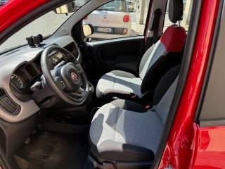 FIAT Panda usata, con Fendinebbia