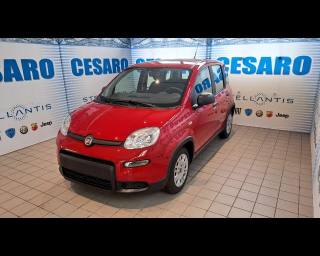 FIAT New Panda usata, con Airbag laterali