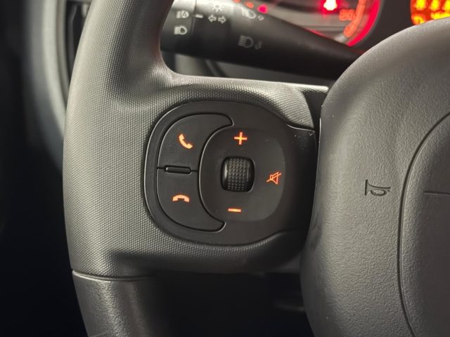 FIAT Panda Cross usata 15