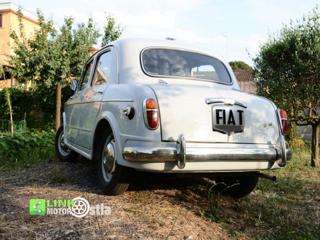 FIAT 1100 usata 30