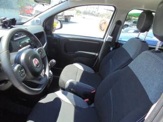 FIAT Panda usata 21