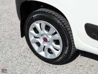 FIAT Panda usata 23