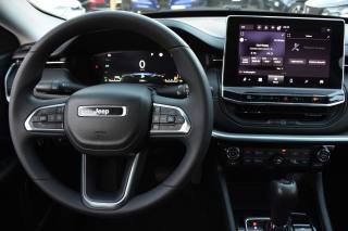 JEEP Compass usata, con Cerchi in lega